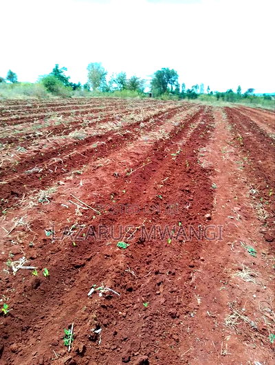 2 Acre for Sale at Muthiru Embu County - Image 4