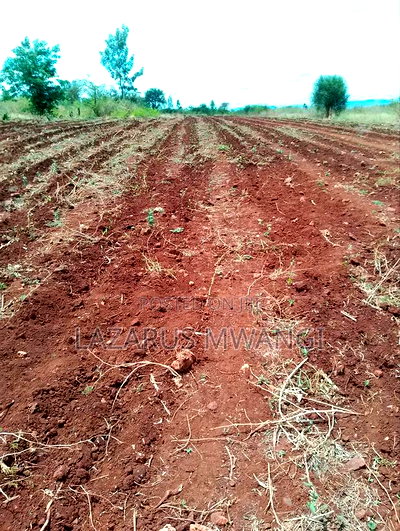 2 Acre for Sale at Muthiru Embu County - Image 10