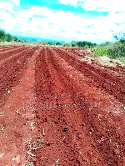 2 Acre for Sale at Muthiru Embu County - Image 2