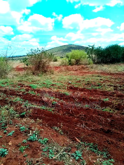 2 Acre for Sale at Muthiru Embu County - Image 8