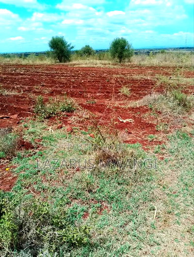 2 Acre for Sale at Muthiru Embu County - Image 12