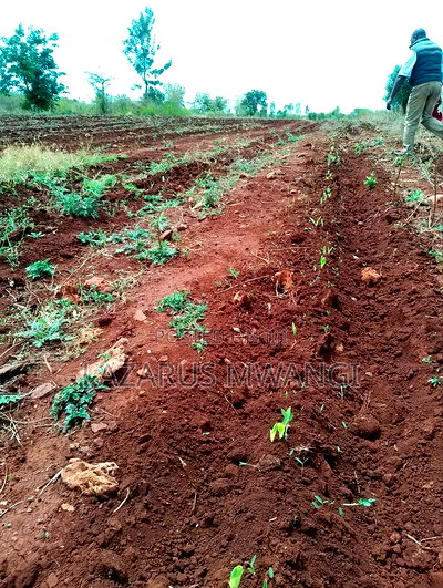 2 Acre for Sale at Muthiru Embu County - Image 6