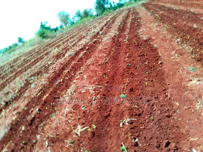 2 Acre for Sale at Muthiru Embu County - Image 5