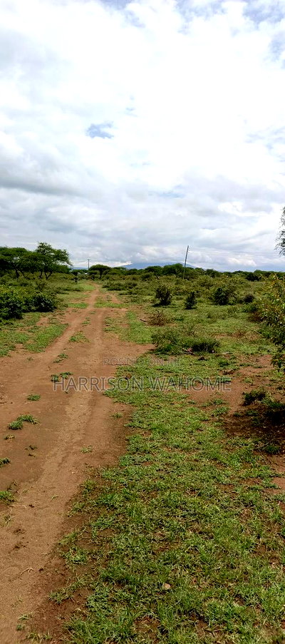 5 Acres for Sale Ewasu Kedong - Image 3