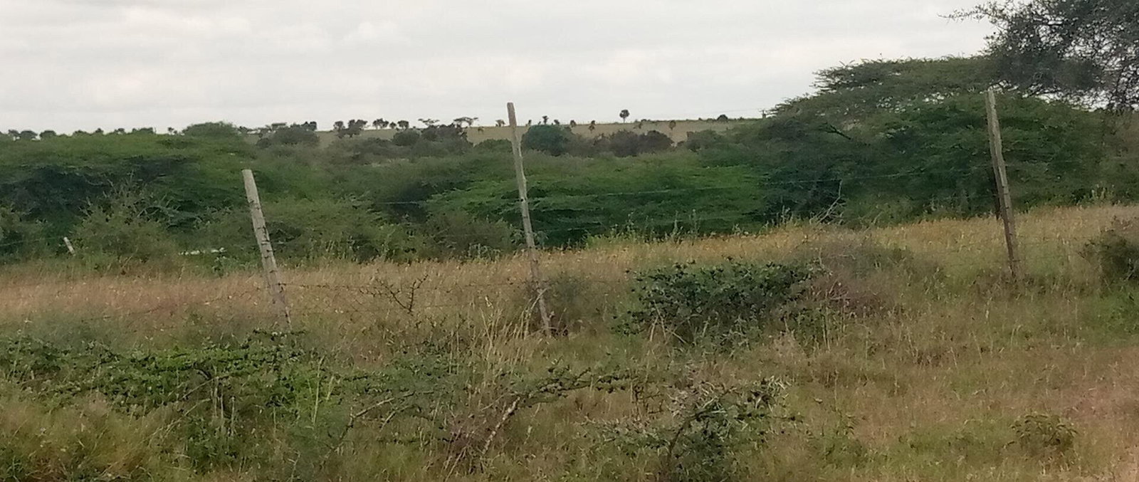 Garden Plot with Parking at KSh 1.2M