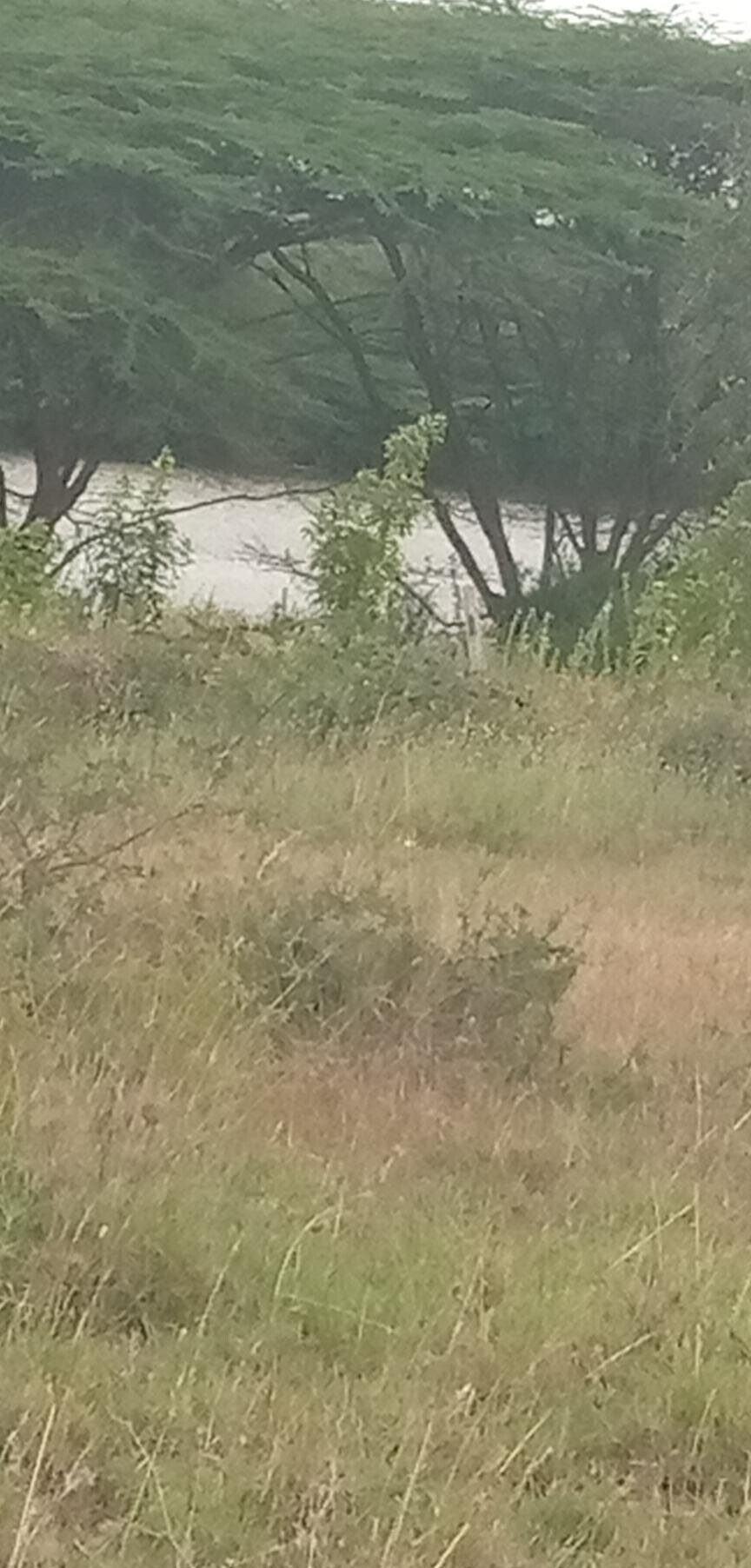 Garden Plot with Parking at KSh 1.2M
