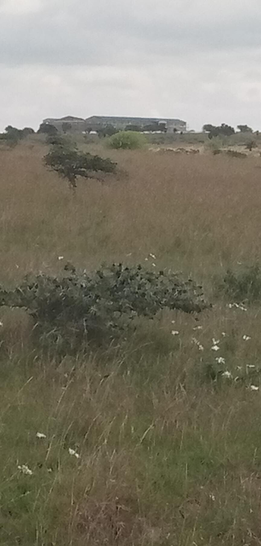 Garden Plot with Parking at KSh 1.2M