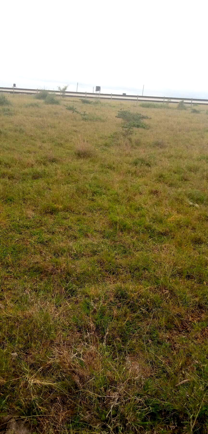 Garden Plot with Parking at KSh 1.2M