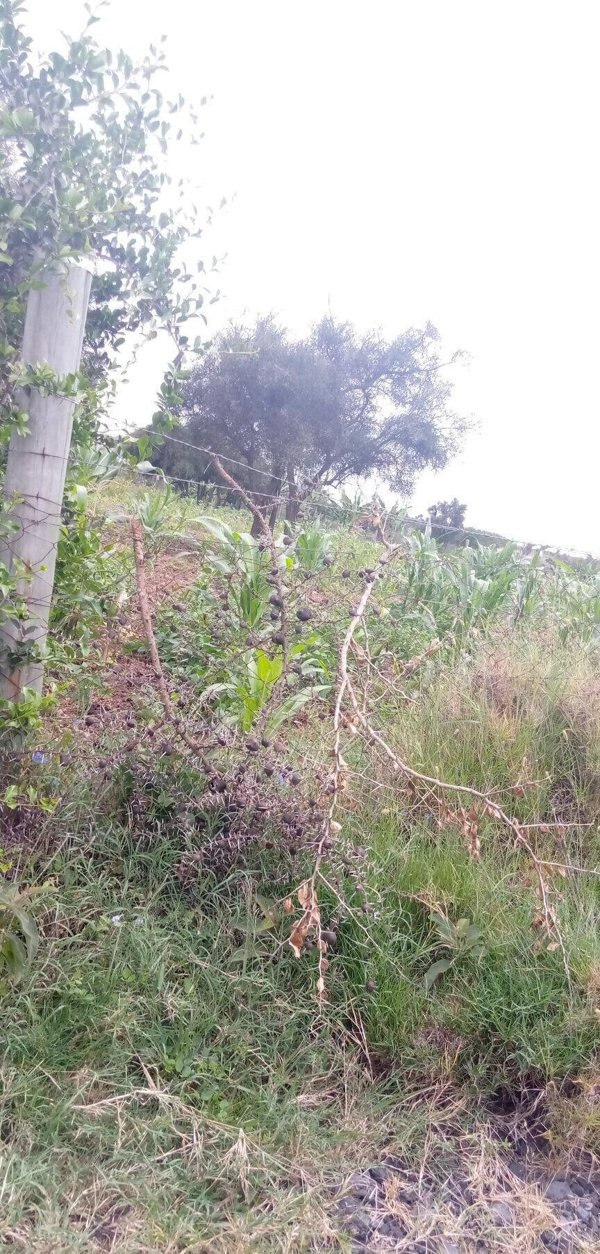 Garden Plot with Parking at KSh 1.2M