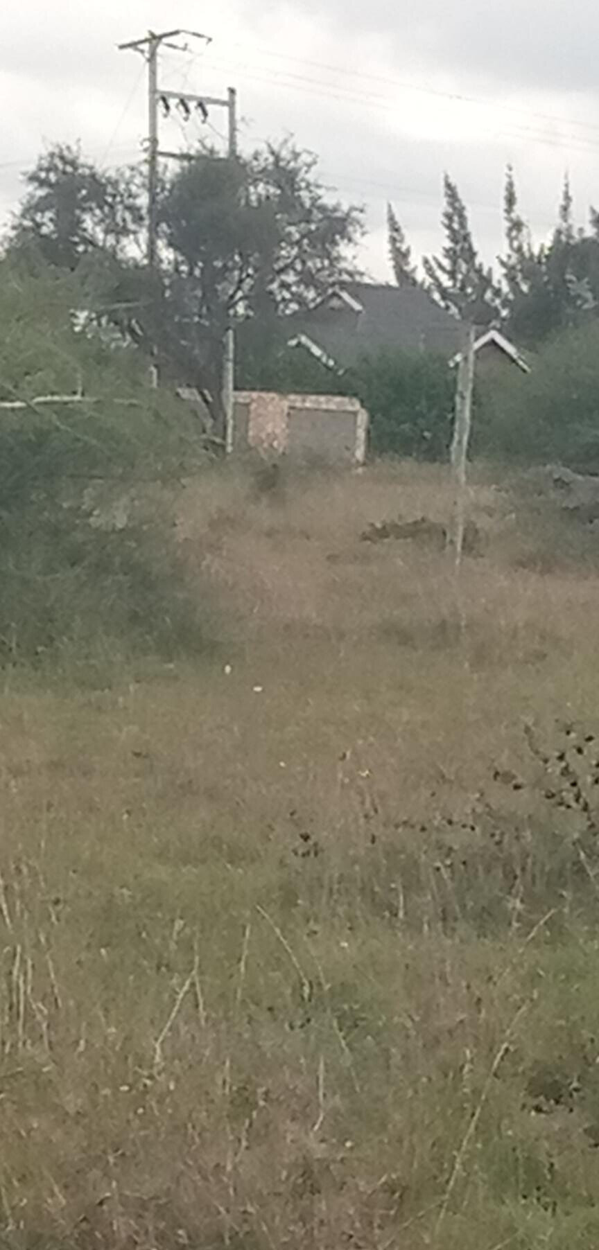 Garden Plot with Parking at KSh 1.2M