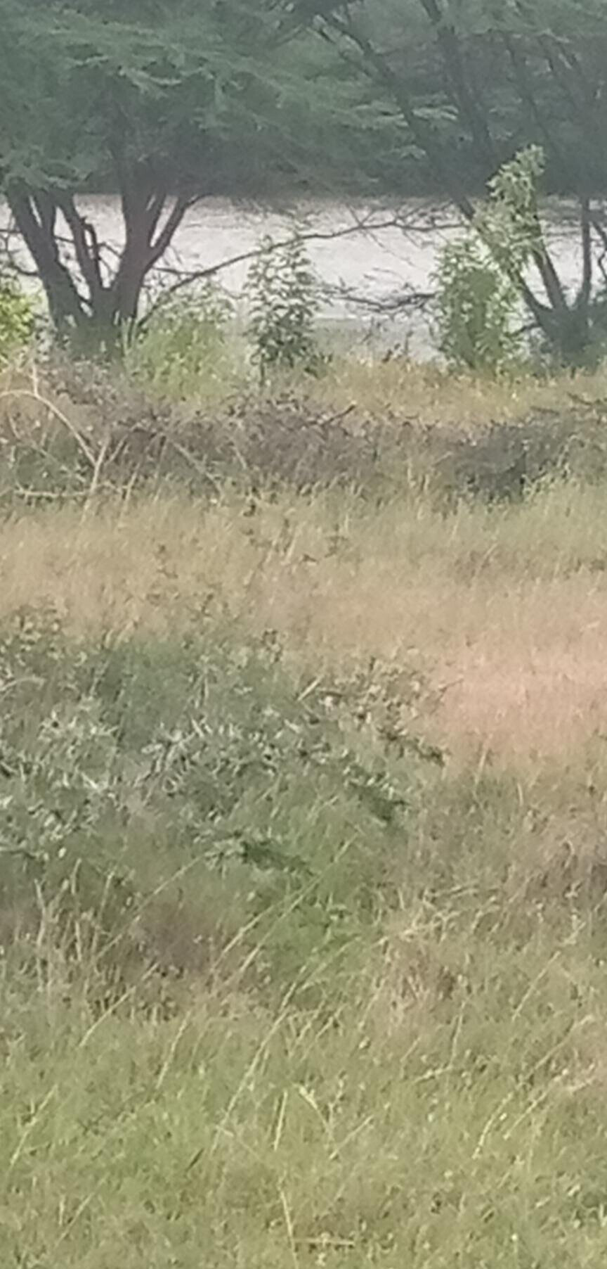 Garden Plot with Parking at KSh 1.2M