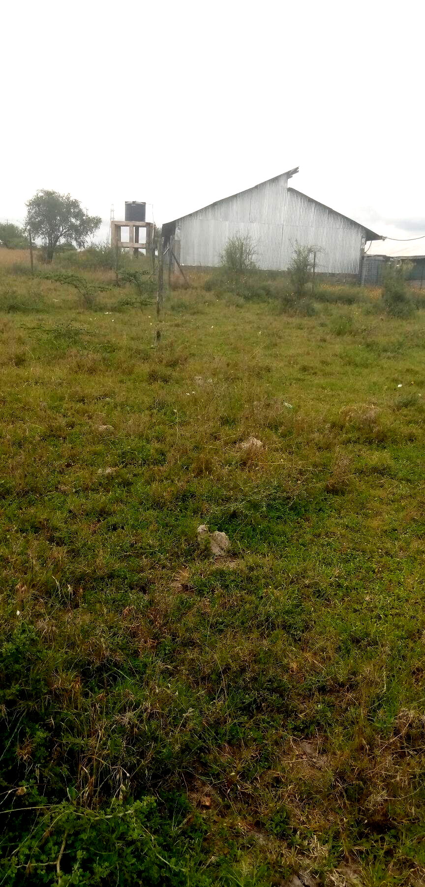 Garden Plot with Parking at KSh 1.2M