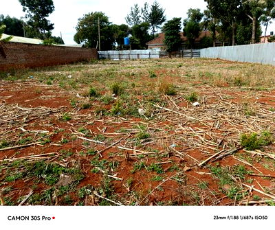 1/4 Plot Kimumu Sinai Area With Title. - Image 1