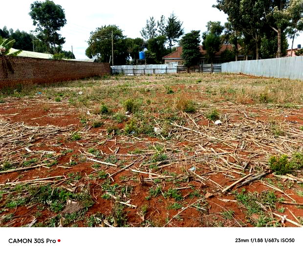 1/4 Plot Kimumu Sinai Area With Title.