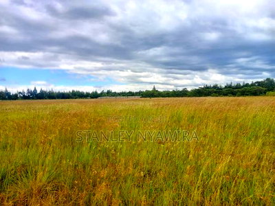 One and Quarter Acre for Sale Nanyuki Nyeri Highway - Image 3