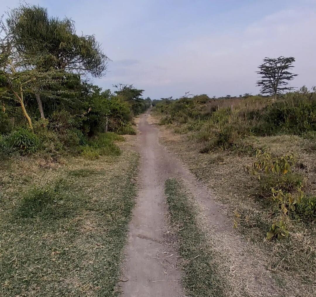6.5-Acre Land in Laikipia Central
