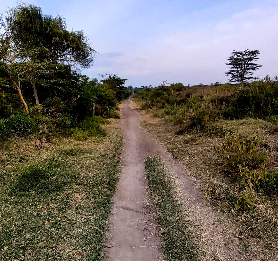 6.5-Acre Land in Laikipia Central