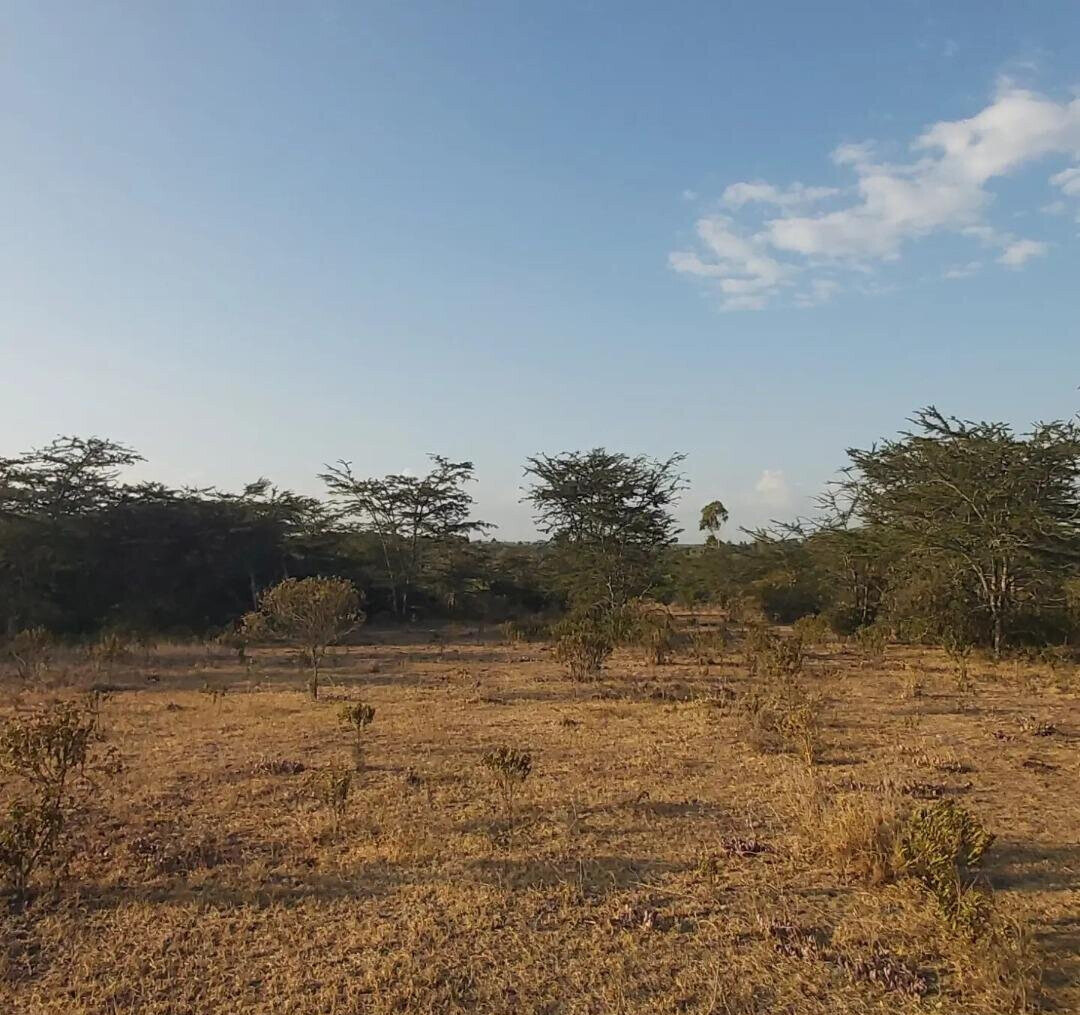 6.5-Acre Land in Laikipia Central