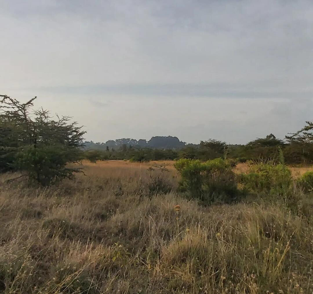 6.5-Acre Land in Laikipia Central
