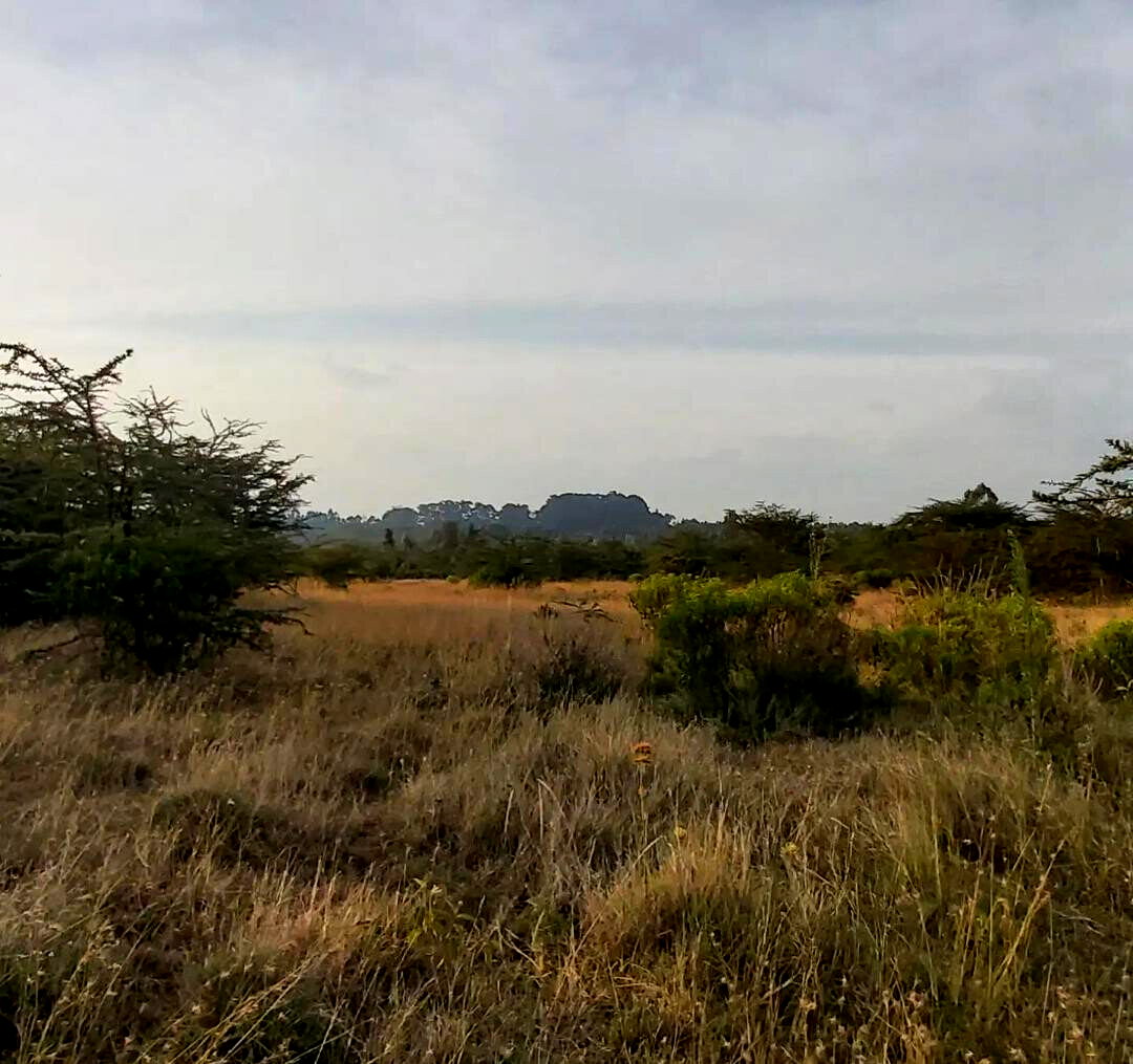 6.5-Acre Land in Laikipia Central