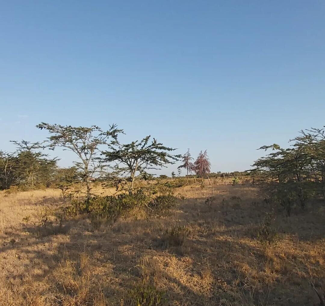6.5-Acre Land in Laikipia Central