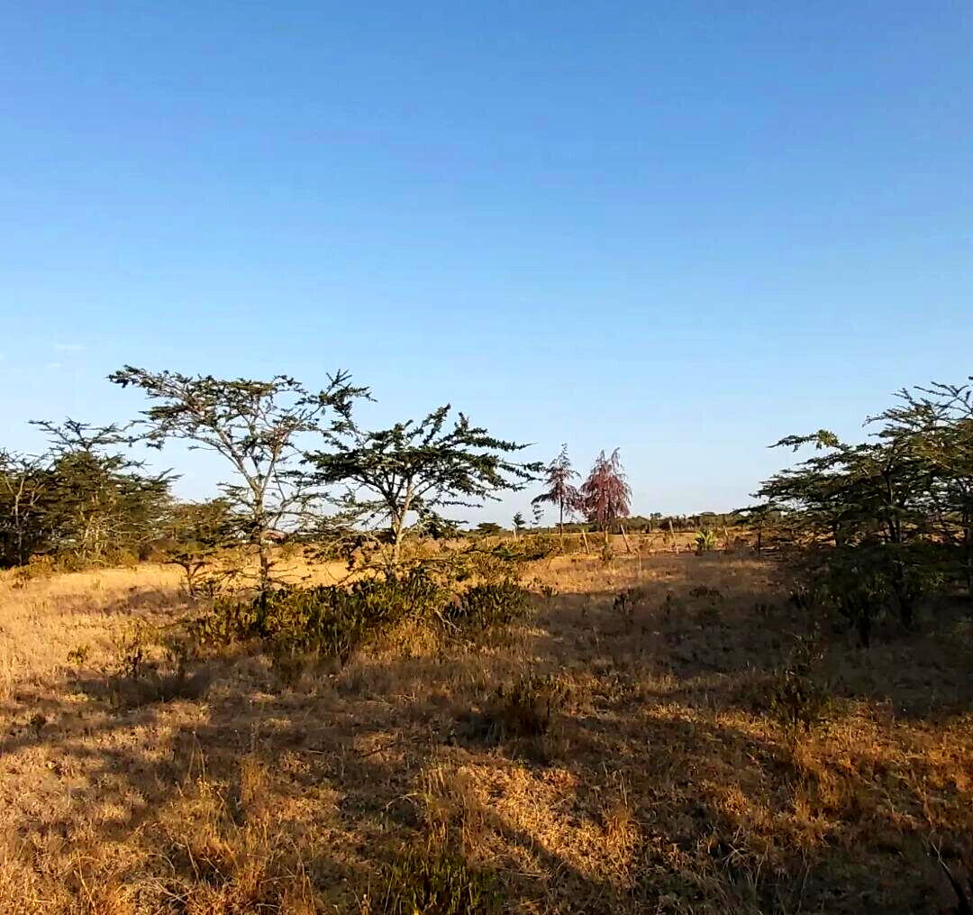 6.5-Acre Land in Laikipia Central