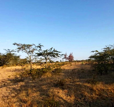 6.5-Acre Land in Laikipia Central