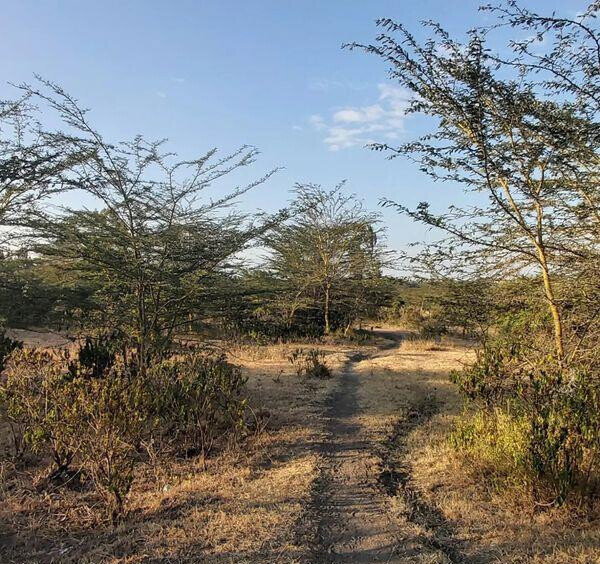 6.5-Acre Land in Laikipia Central