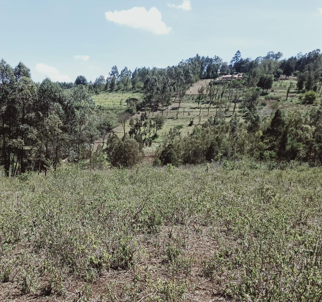 Quarter Acre in Kibiku at KSh 7M
