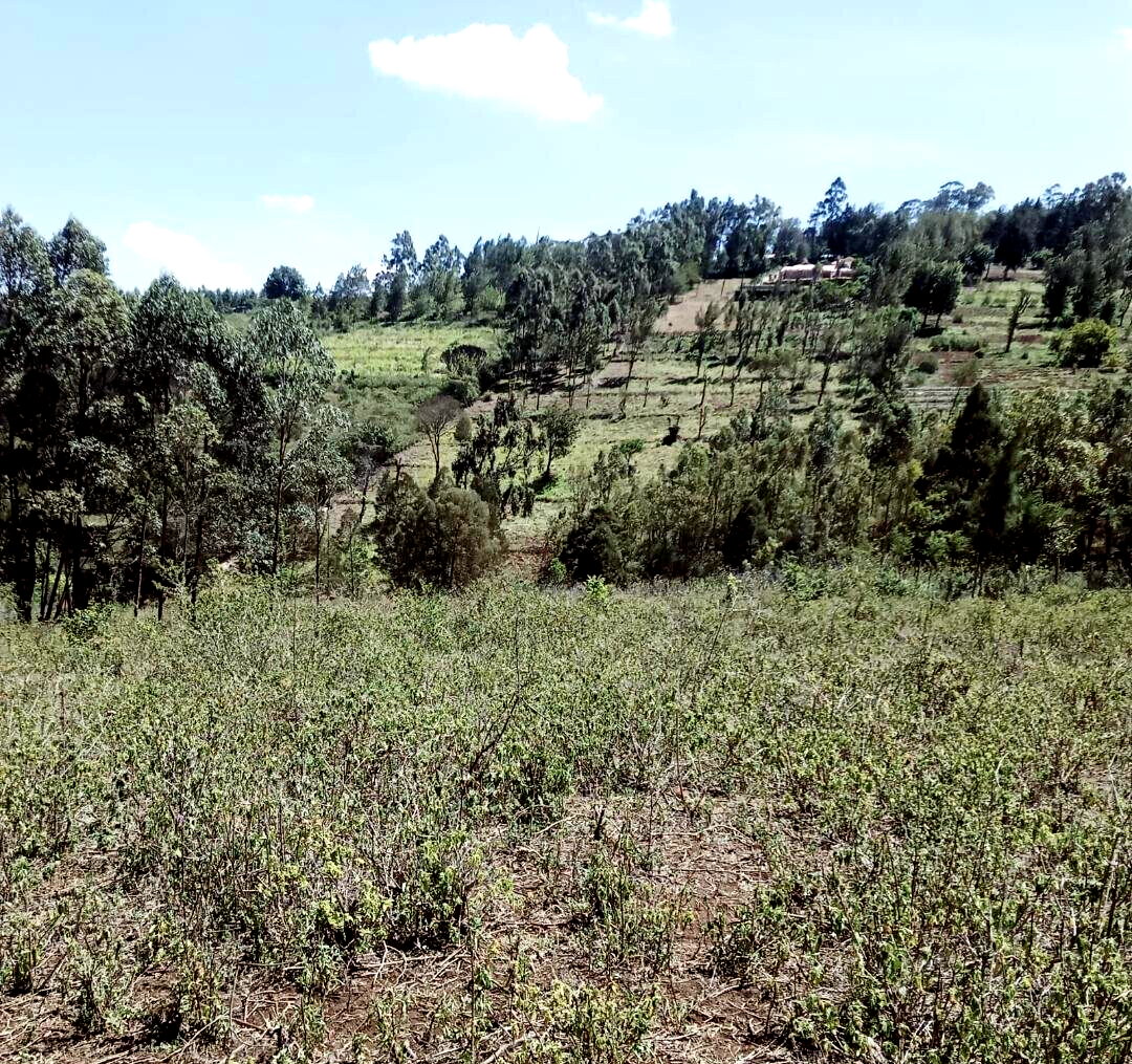 Quarter Acre in Kibiku at KSh 7M