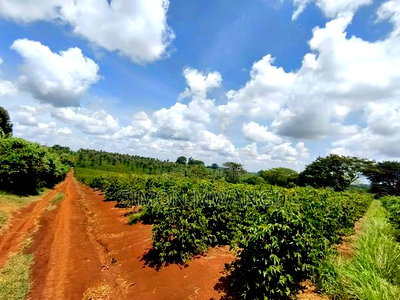 546acres Coffee Farm on Sale at Ruiru Kiambu at 20M Per Acre - Image 1