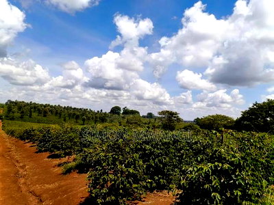 546acres Coffee Farm on Sale at Ruiru Kiambu at 20M Per Acre - Image 3