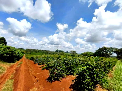 546acres Coffee Farm on Sale at Ruiru Kiambu at 20M Per Acre - Image 2