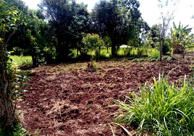 Garden Plot with Parking at KSh 3.3M
