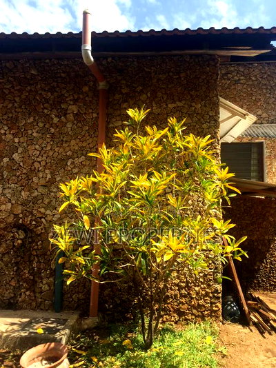 Furnished 2bdrm Bungalow in Casuarina Road, Town Centre for sale - Image 6