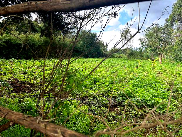 Affordable 1/4 Acre Plot for Sale in Kikuyu-Thigio