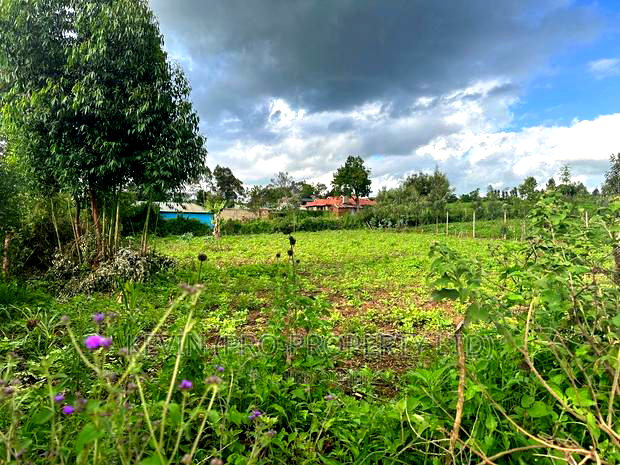 Affordable 1/4 Acre Plot for Sale in Kikuyu-Thigio