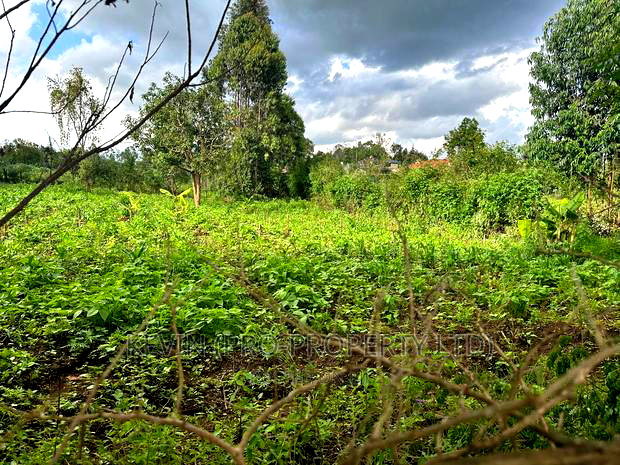 Affordable 1/4 Acre Plot for Sale in Kikuyu-Thigio