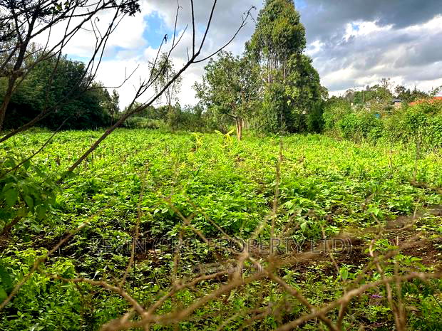 Affordable 1/4 Acre Plot for Sale in Kikuyu-Thigio
