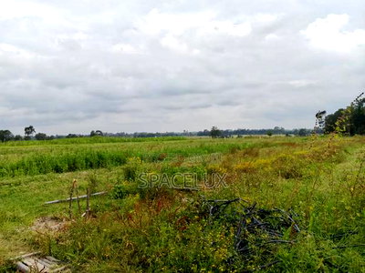 Prime 53 Acres Near Tatu City Sasini - Image 2