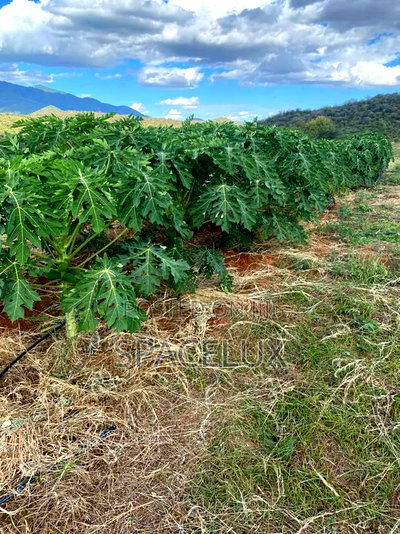 Prime 53 Acres Near Tatu City Sasini - Image 1