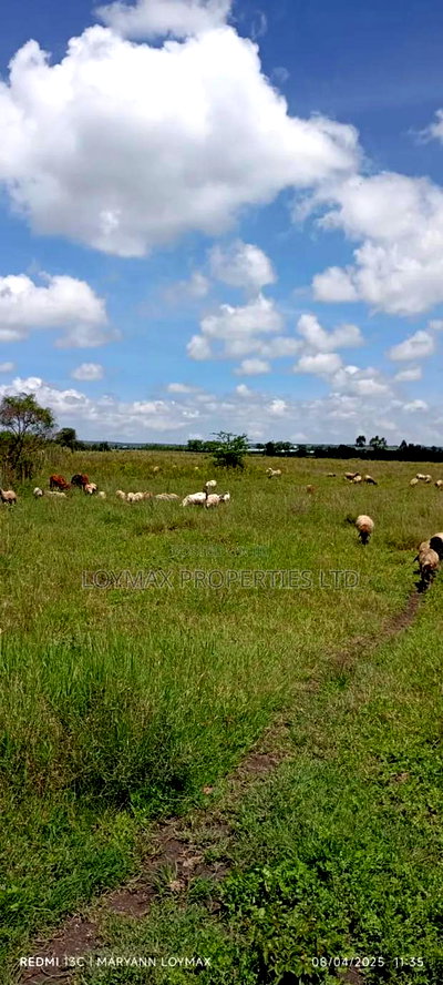 10 Acres Along Isinya Kiserian Road on Quick Sale - Image 6