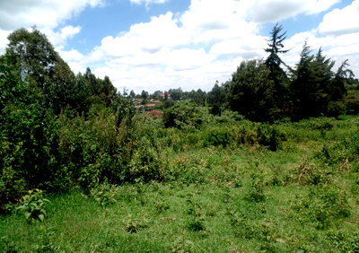 1-Acre Garden Plot with Parking at KSh 28M