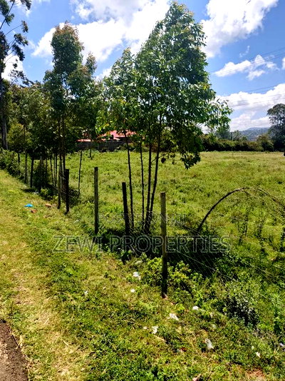 Quarter Acre Olkeri - Image 3