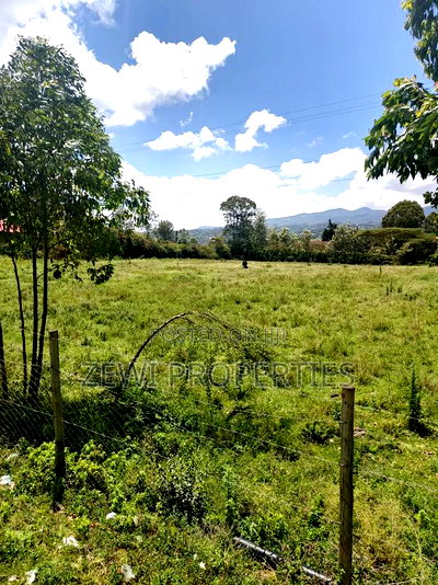 Quarter Acre Olkeri - Image 1