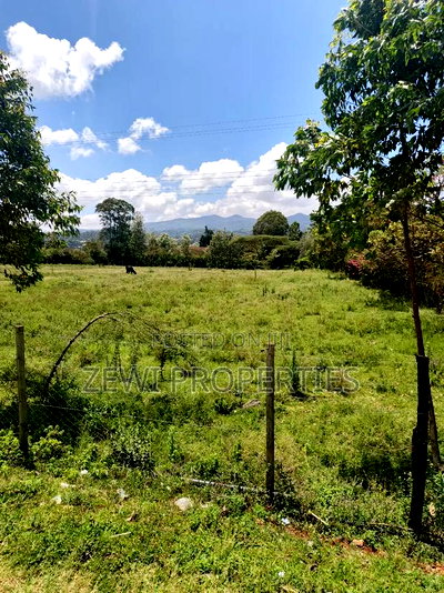 Quarter Acre Olkeri - Image 2