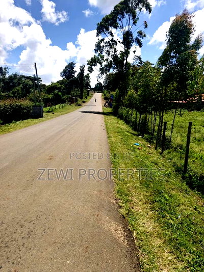 Quarter Acre Olkeri - Image 4