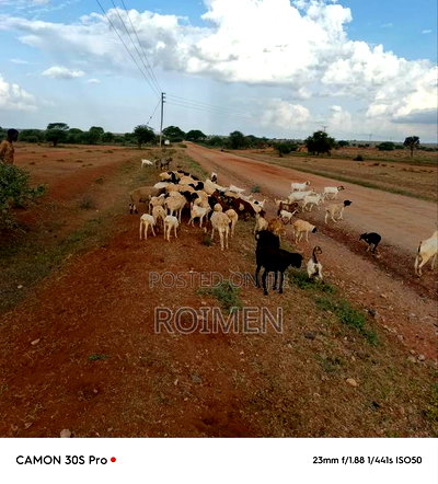 21 Acres of Land in Risa Area. - Image 10