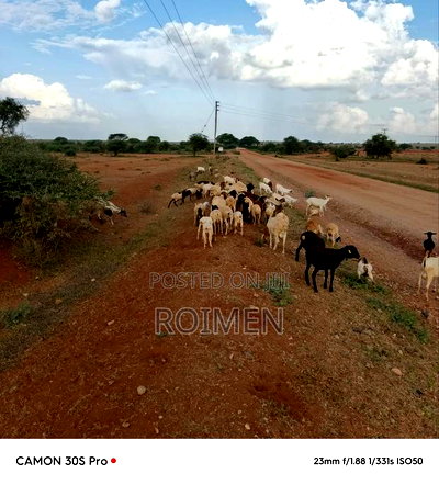 21 Acres of Land in Risa Area. - Image 8