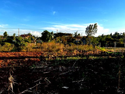 Prime Residential Plot (100 by 100 Fts) in Kikuyu ,Gikambura - Image 15